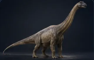 Brontosaurus