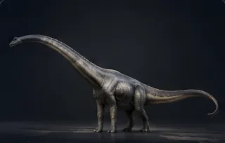 Diplodocus