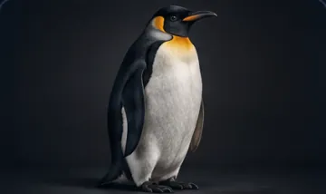 Penguin