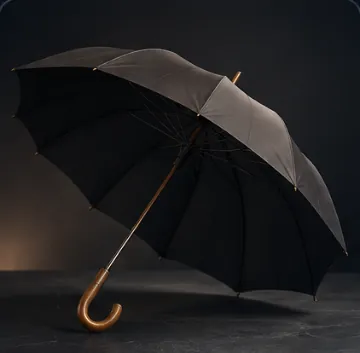 Umbrella