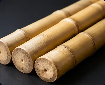 Bamboo