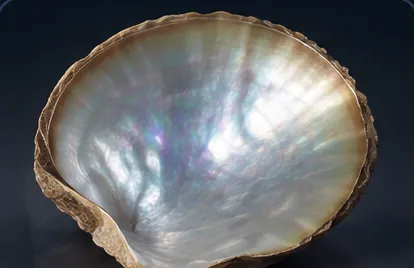 Mother-of-Pearl
