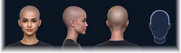 Bald / Shaved