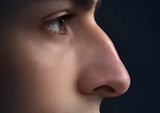 Aquilino