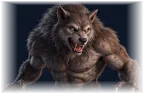 Werewolf