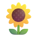 Indie Rock